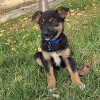 Lucas, geb. September 2025, Rumänien